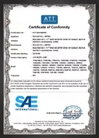 certificate 1 29