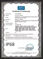 certificate 1 31